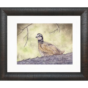 JL- BOBWHITE QUAIL 2